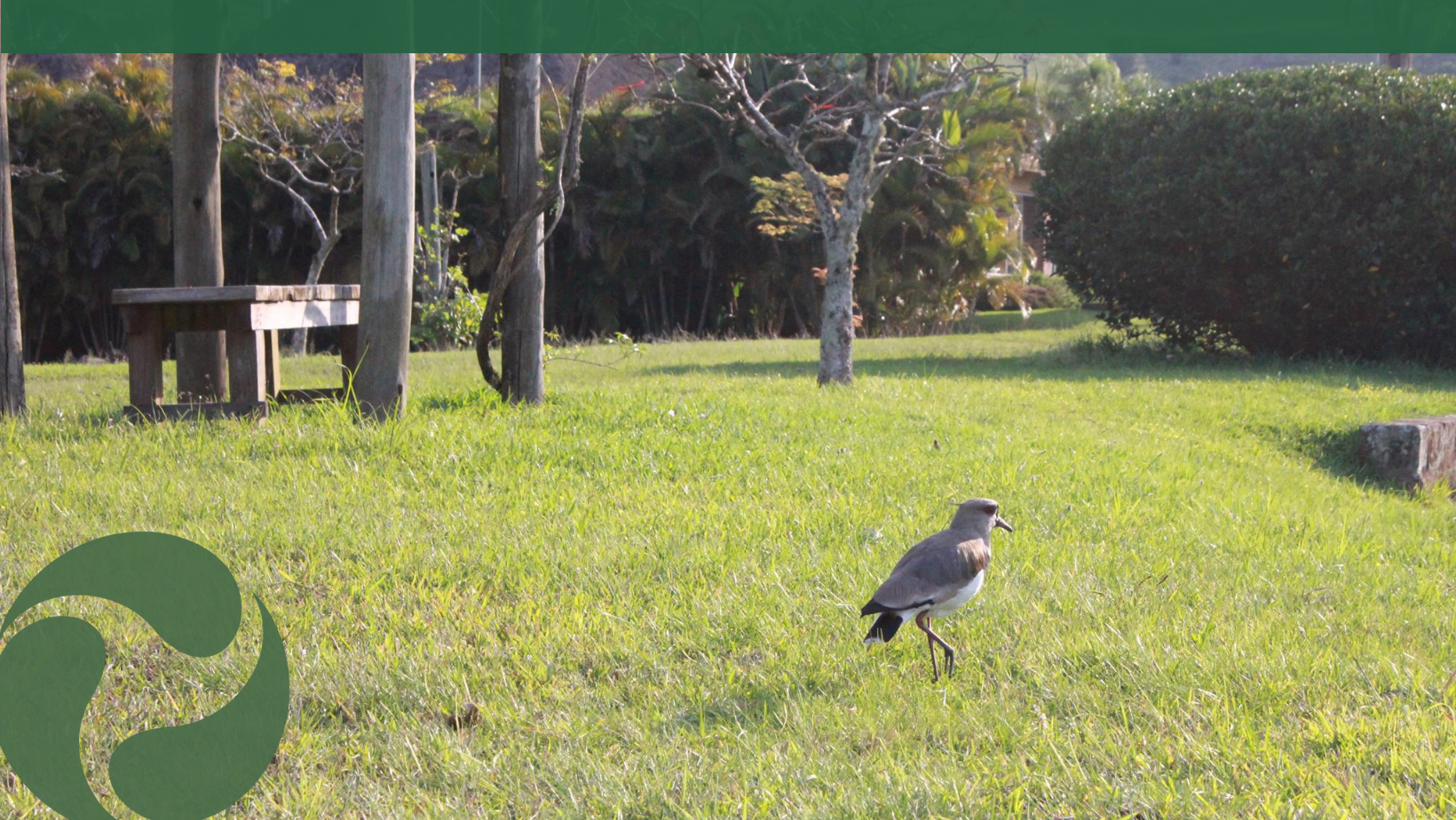 Economia circular:o que é e como funciona